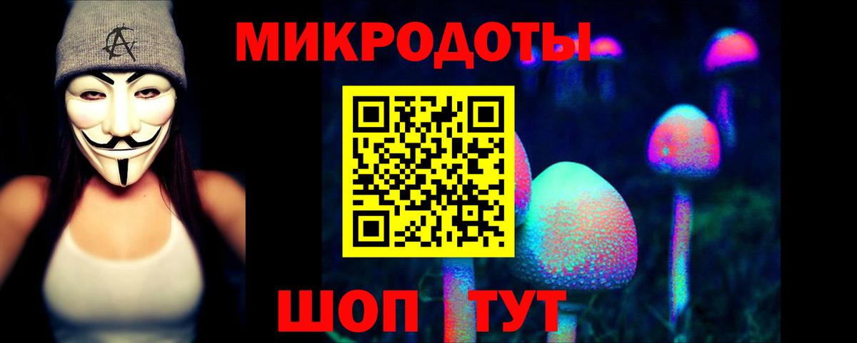 Галлюциногенные грибы Cubensis Гатчина