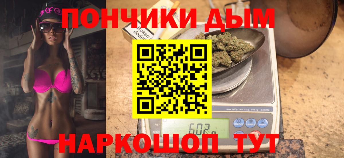 Конопля план Гатчина